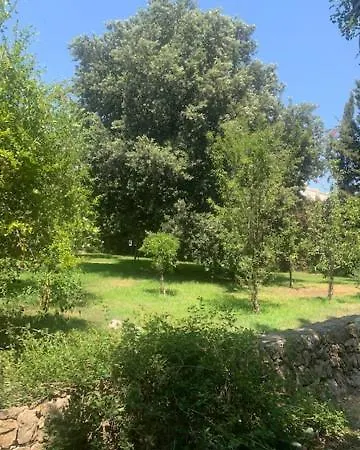 Madreperla 3* Gallipoli