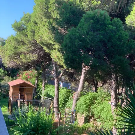 Madreperla Couette-café