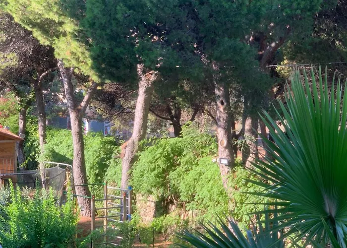 Madreperla * גאליפולי